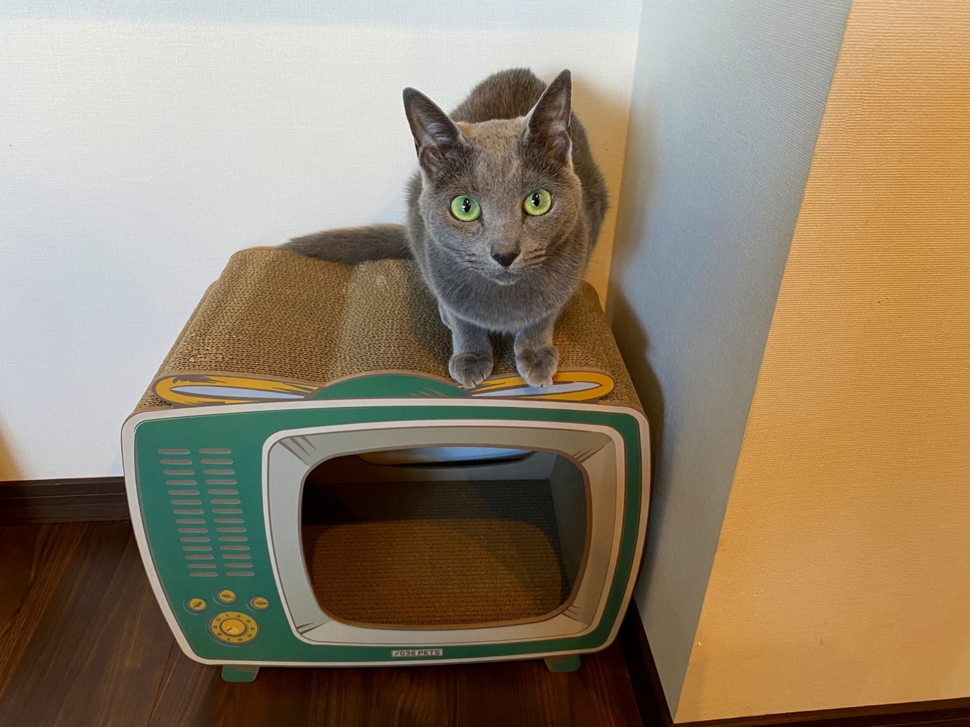 ゴルフと車、どちらも譲れませんでした！