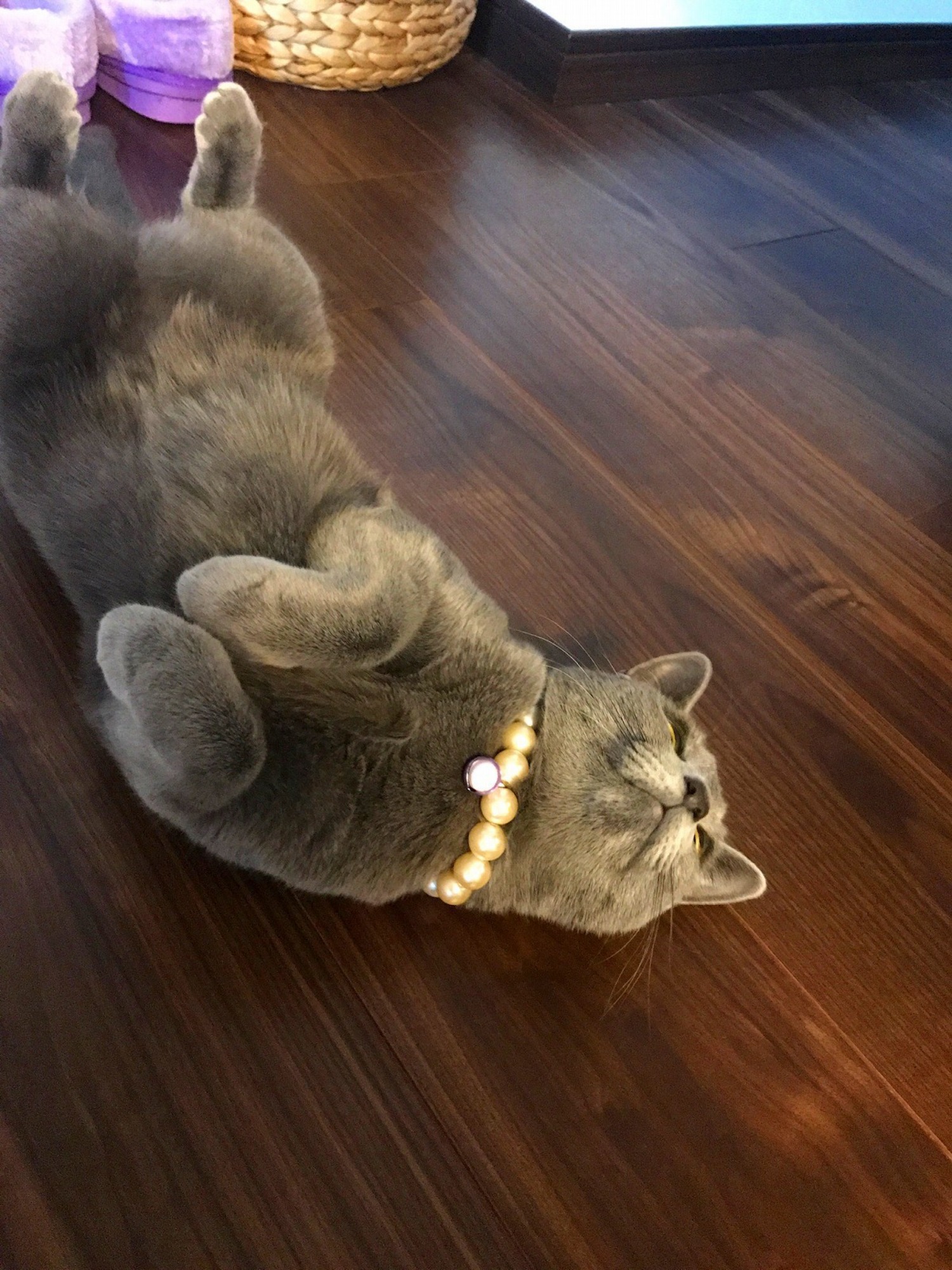 希少地で成功しました！